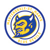 Martensdale-St Marys logo